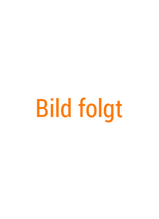 Schäfer Steuerberatung - Kanzlei - Team